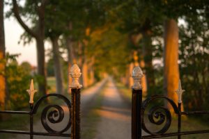 gate locks